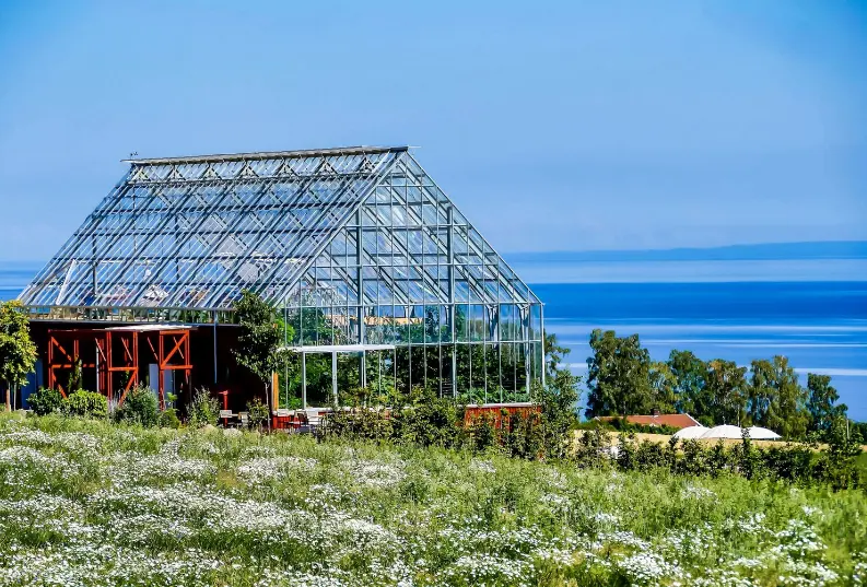 greenhouse surrounded by trees grass sweden 181624 26025
